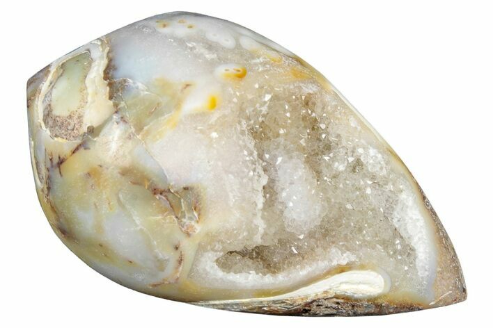 Chalcedony Replaced Gastropod With Sparkly Quartz - India #320812